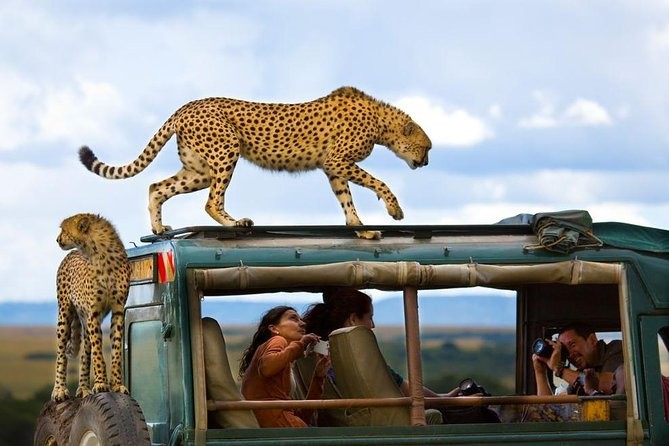 Kenya Golden Safari Experience