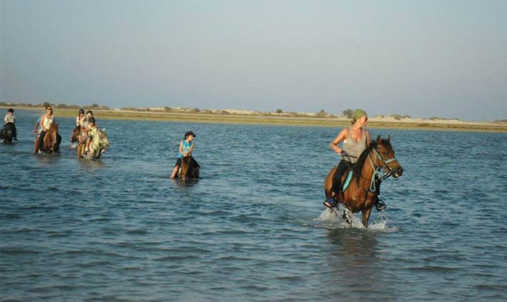 Overnight El Fayoum Tours from Cairo