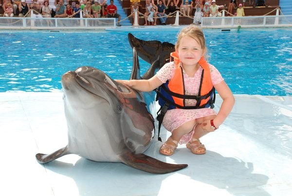 Tours El Espectàculo de Delfines en Sharm El Sheikh