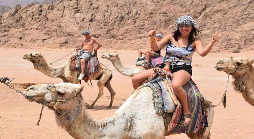 Cairo, Bahariya, excursão ao deserto branco