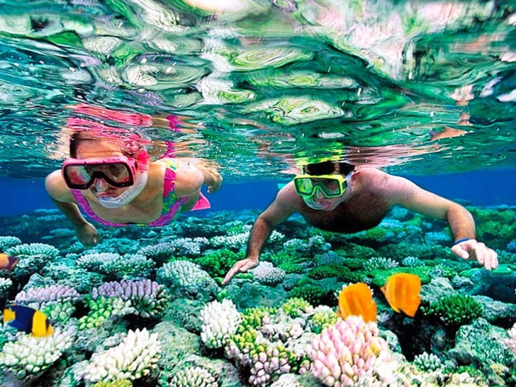 Snorkeling Tours from Safaga Port