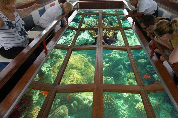 Excursión Barco de Cristal en Hurghada