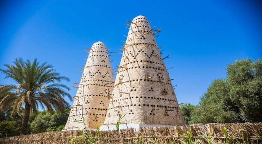 Tours El Cairo, Siwa, Safari y Crucero Nilo
