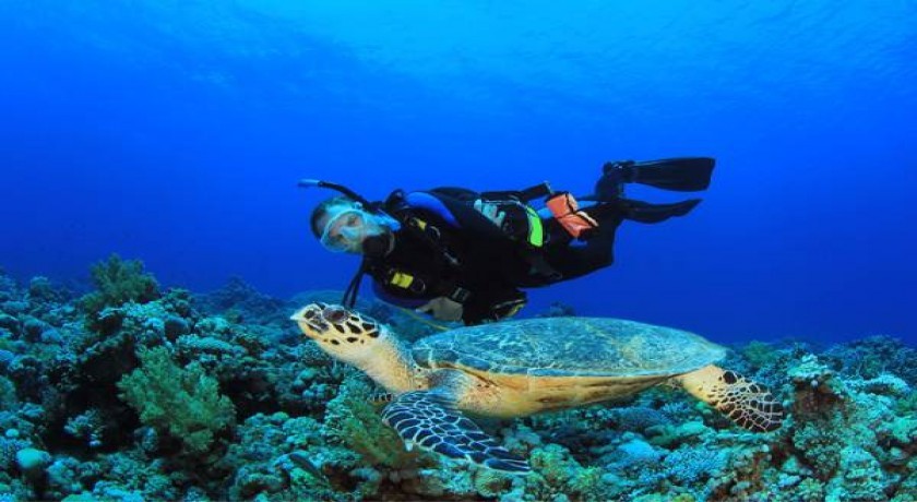 Tour La Isla de Sibu en Malaysia