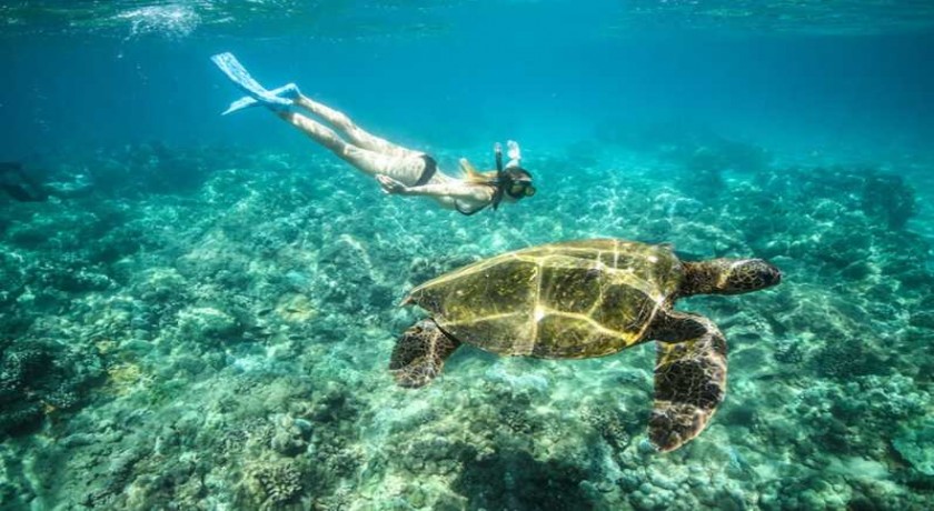 Viagens baratas Cairo e Sharm El Sheikh