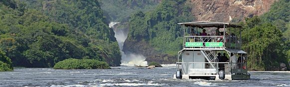 4 Days Wildlife Adventure