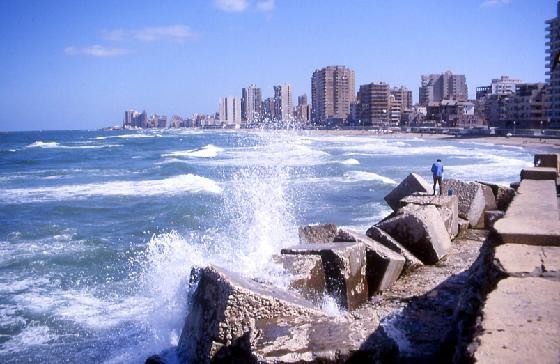 Alexandria Day Excursion