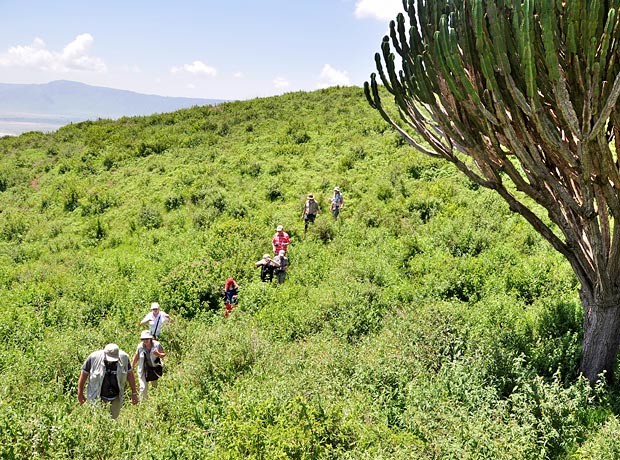 7 Days Crater Highland Safari