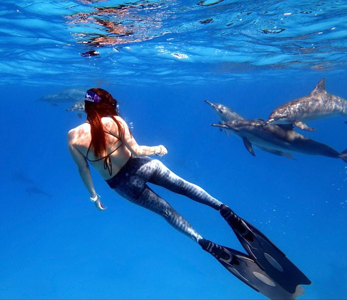 Snorkeling Trip At Satayh Dolphin Reef