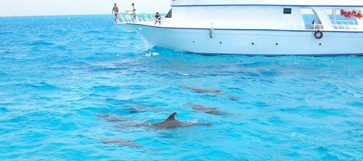 Tours en la Isla del Mahmeya en Hurghada