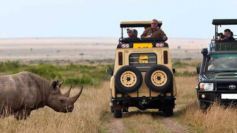 5 Days Safari Tours