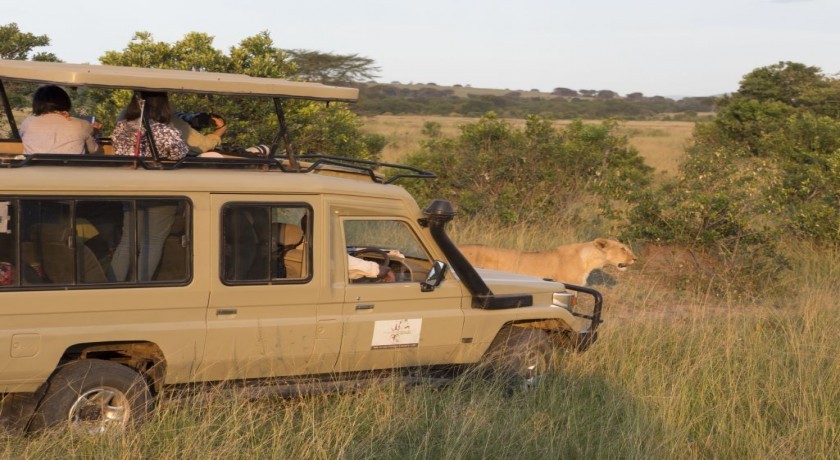 Safari Viajes Tanzania a Tarangire y el Lago Manyara