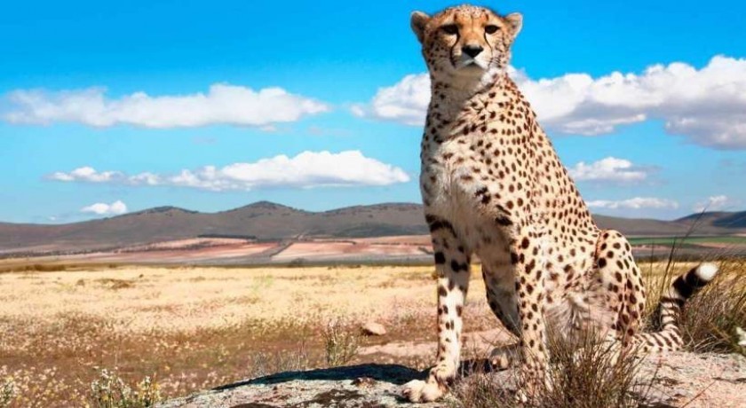 Lago Manyaray y Ngorongoro Crater en Tanzania