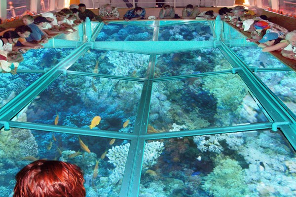 Tours El Barco de cristal en Dahab