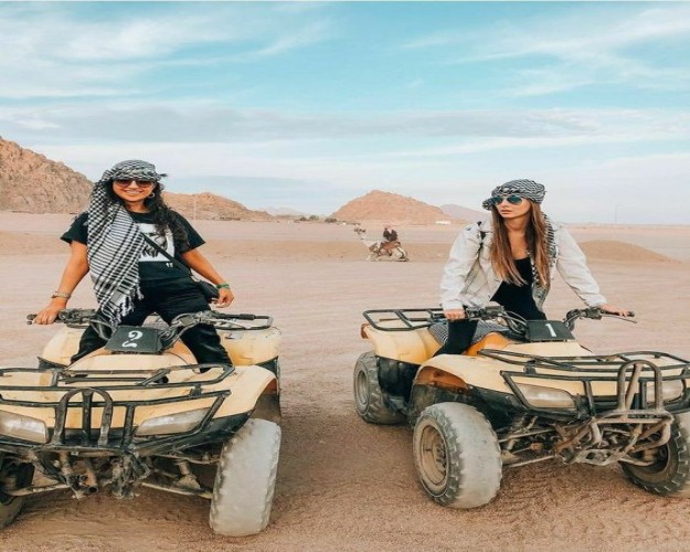 Safaris en Abu Galum desde Sharm El Sheikh