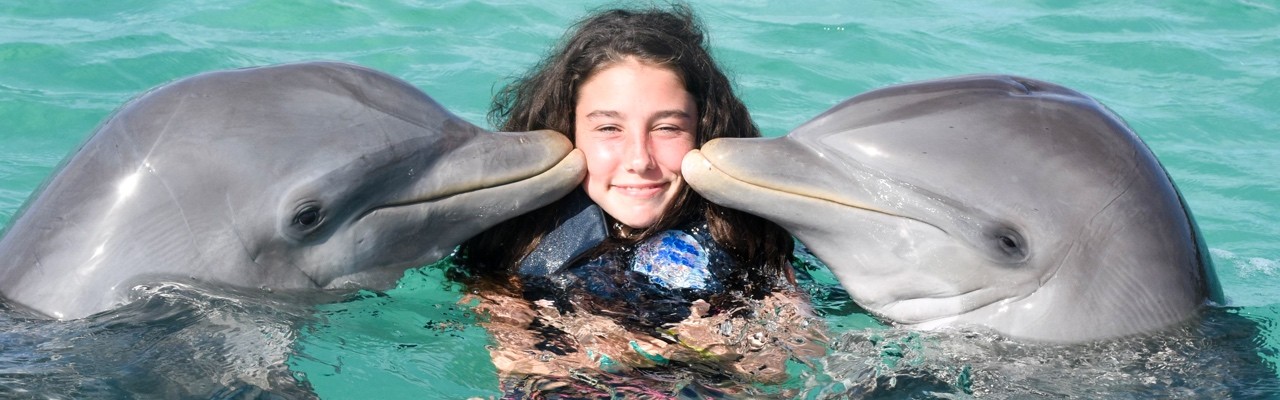 Swimming with Dolphins in Hurghada