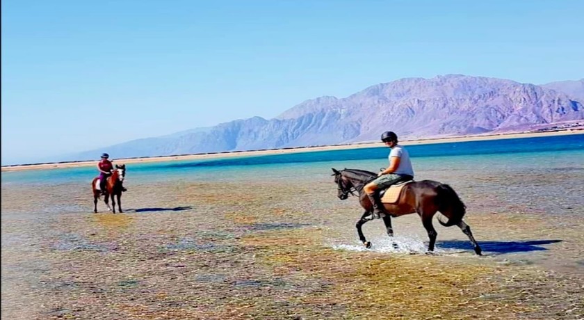 Safari Tours y Excursiones en Dahab de Sharm El Sheikh