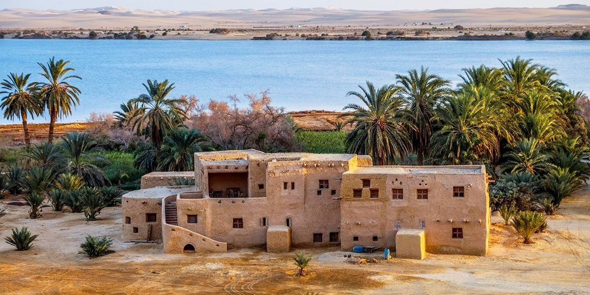 Cairo, Alexandria and Siwa Oasis Tour - Egypt Safari Tours