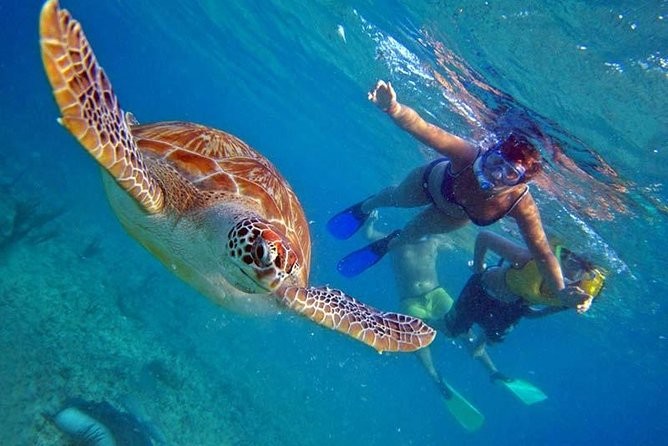 Abu Dabab Snorkeling Adventure