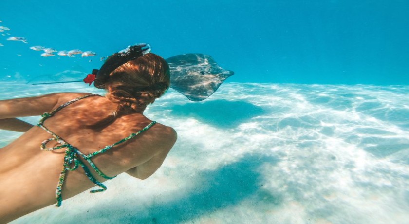 Petra Año Nuevo 2026 desde Sharm el Sheikh - Excursión