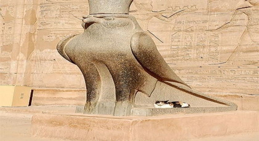 Excursão Edfu e Kom Ombo saindo de Marsa Alam