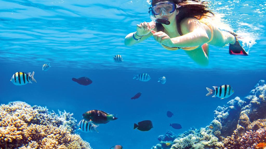 Sharm El Luli snorkeling tours