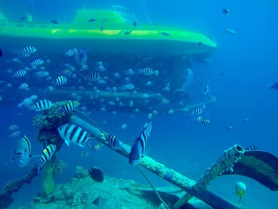 Sindbad Submarine Tours in Hurghada