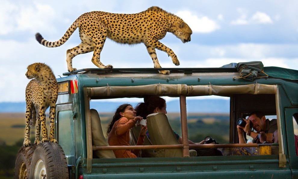 3 Days Lodge Safaris