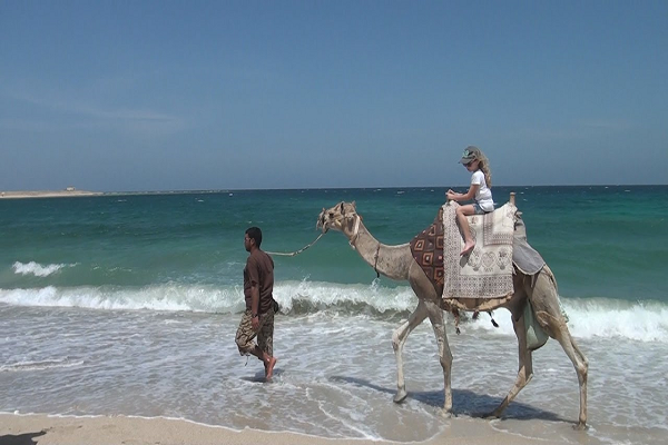 Tours en la Isla del Mahmeya en Hurghada