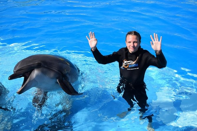 Excursiones para nadar con delfines en Sharm el Sheikh