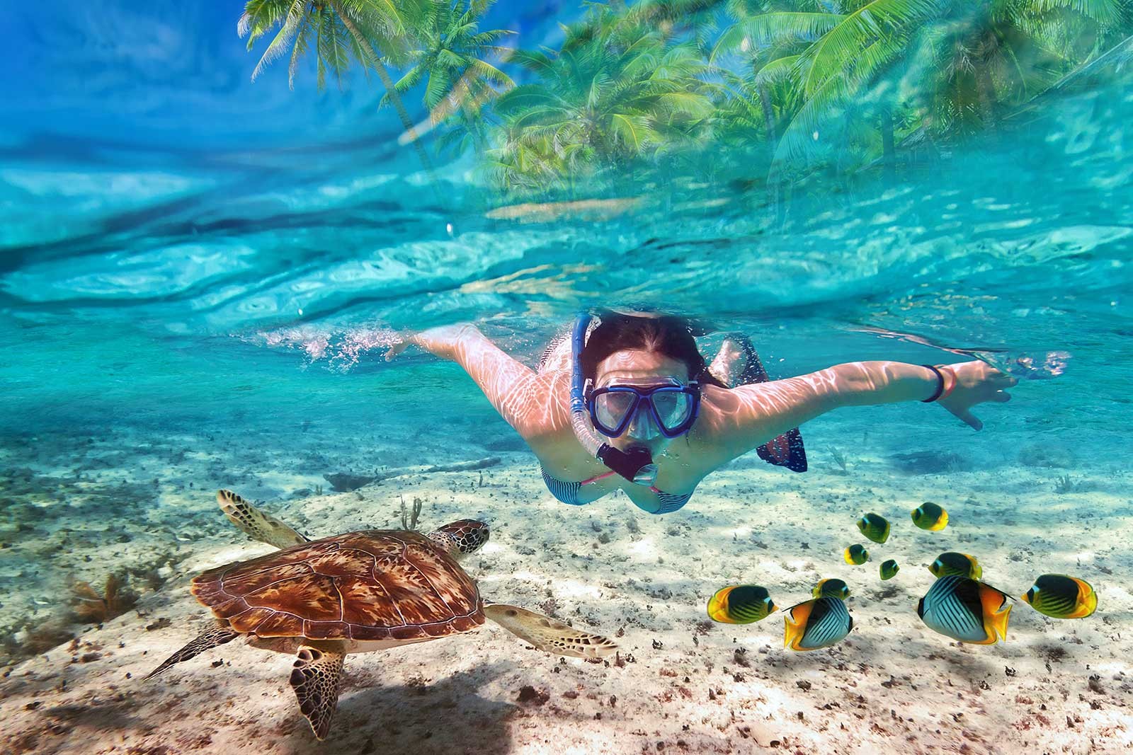 Phi Phi Island Tour in Thailand