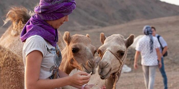 Amazing Safari from Marsa alam