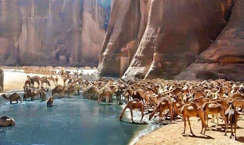 Tours a Wadi El Gemal en Marsa Alam