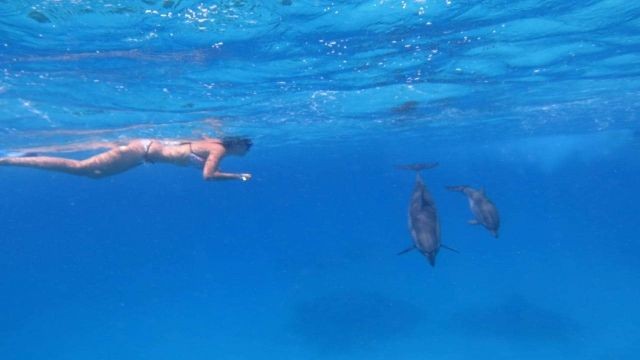 Excursión de esnórquel en la isla de Hamata , Marsa Alam