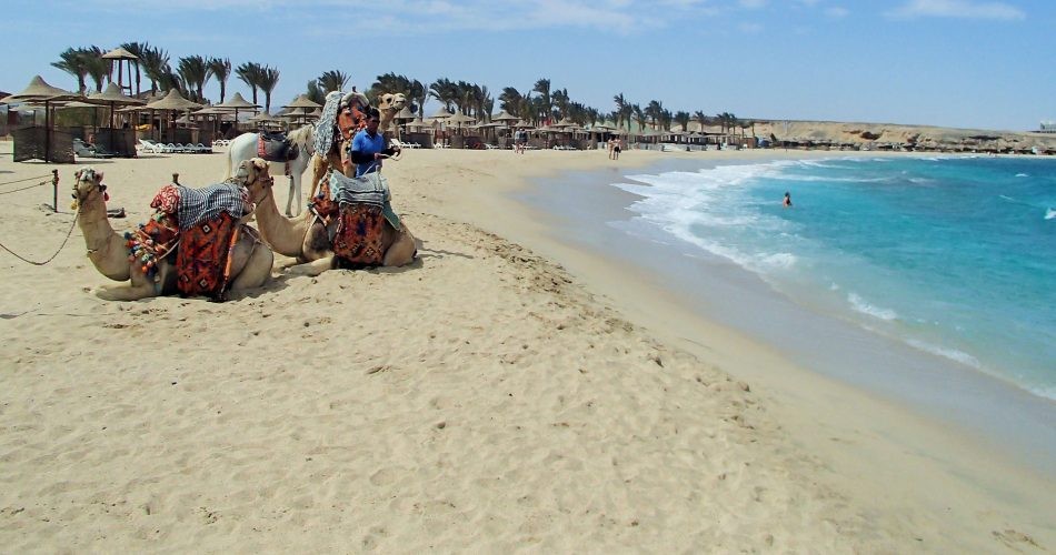 Excursiones La Isla Mahmya desde El Gouna