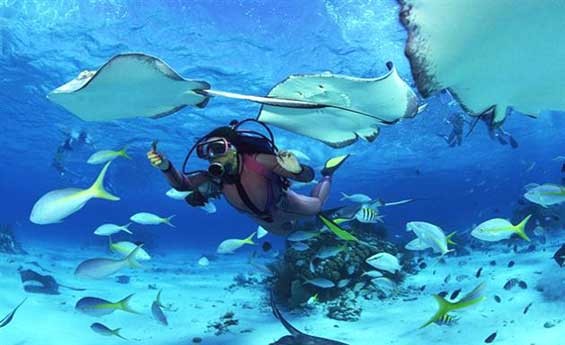 Tiran Island Tours in Sharm El Sheikh