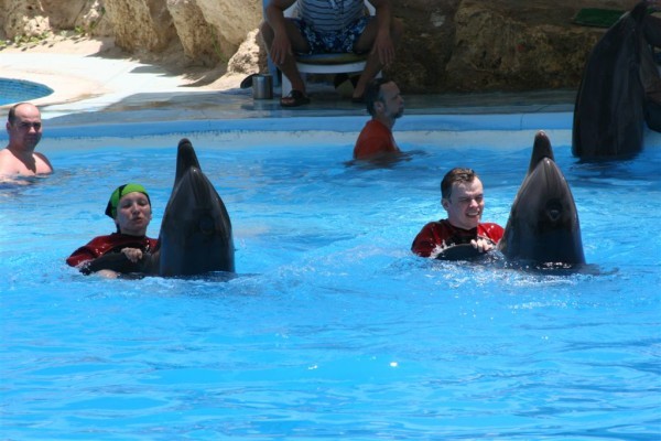Dolphin Show Tours in Sharm El Sheikh