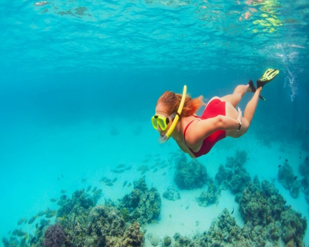 Snorkel Tour em Giftun do Porto de Safaga