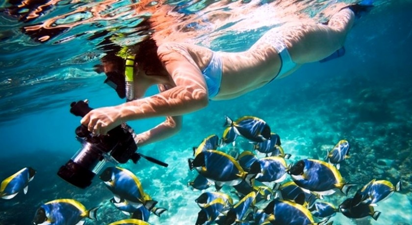 Passeios na Ilha Mahmya saindo de El Gouna