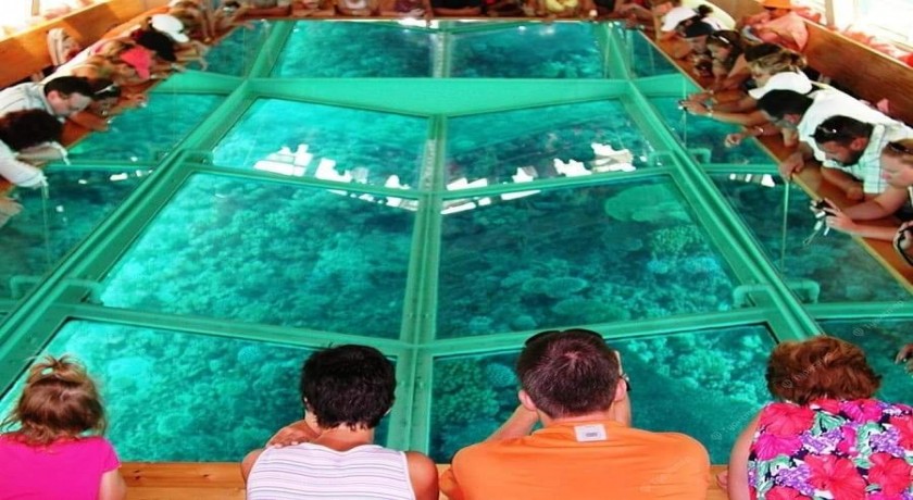 Tour a semi-submarine en sharm el sheikh