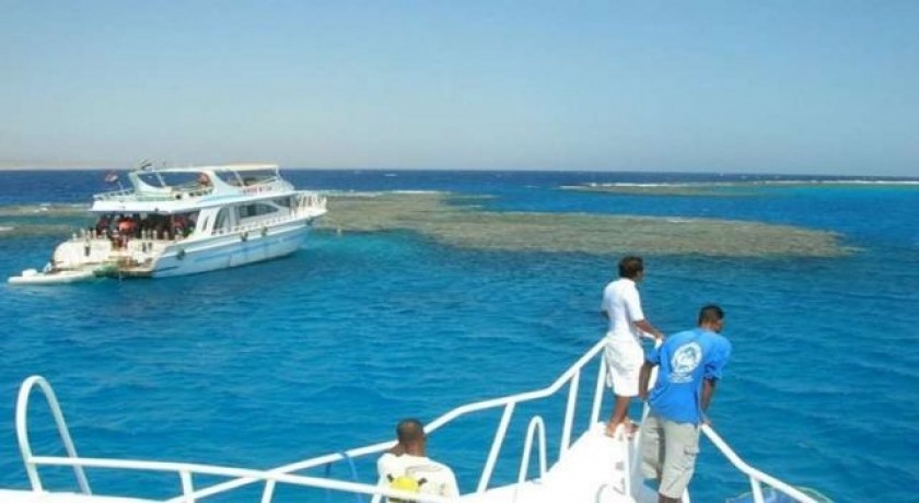 Snorkeling Trip At Satayh Dolphin Reef