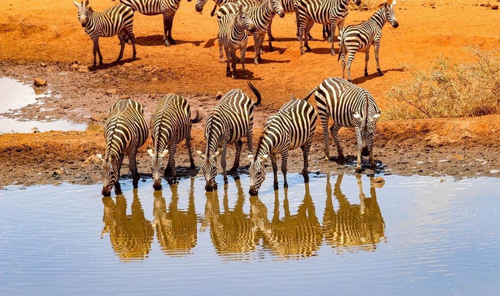 5 Days Camping Safari Tours