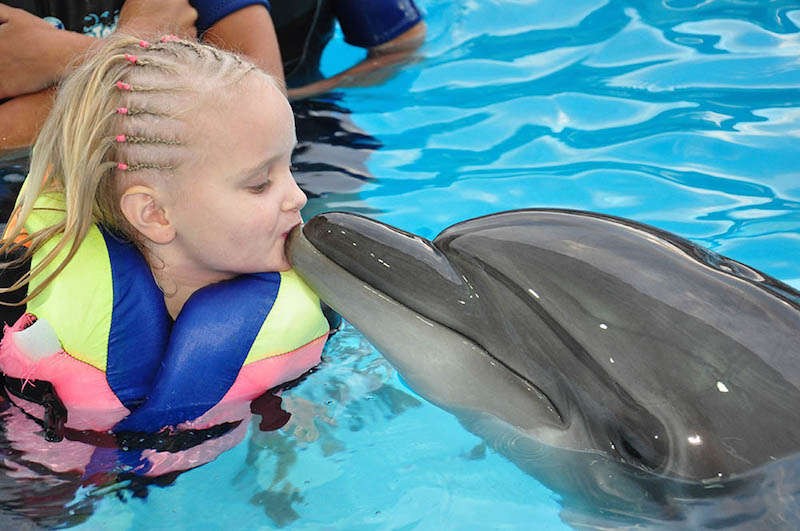 Tours El Espectàculo de Delfines en Sharm El Sheikh