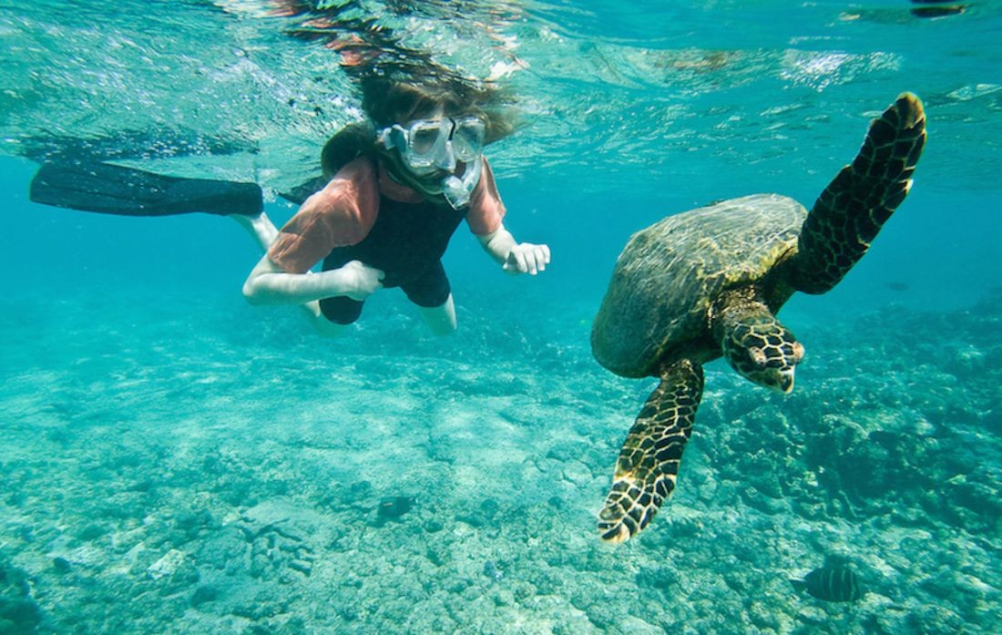 Excursión de esnórquel en la isla de Hamata , Marsa Alam