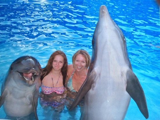 Tours El Espectàculo de Delfines en Sharm El Sheikh