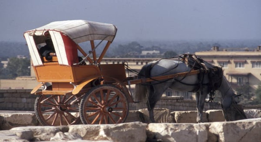 Tours El Cairo desde Port Said
