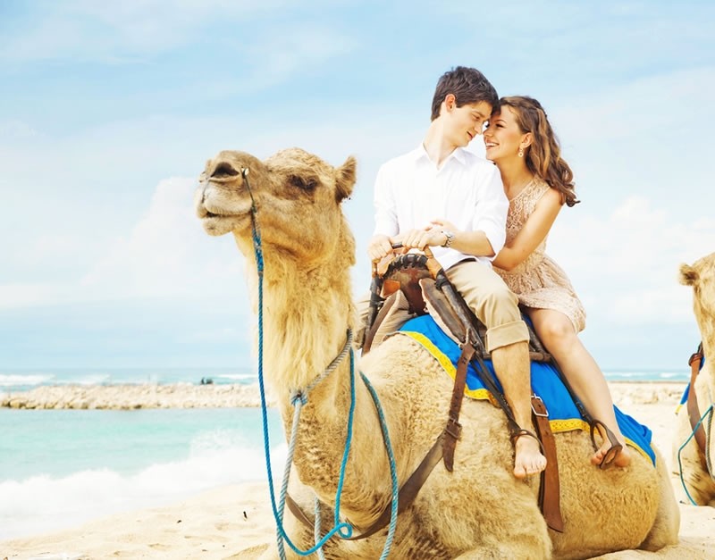 Excursiones de luna de miel a El Cairo, Alejandría y Hurghada