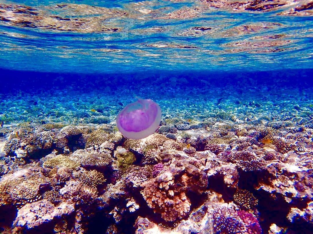 Blue Hole Snorkeling Tours in Dahab