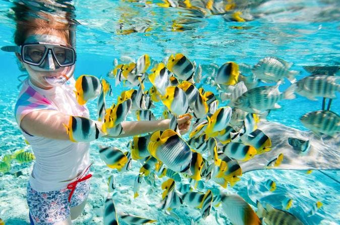 Abu Dabab Snorkeling Adventure