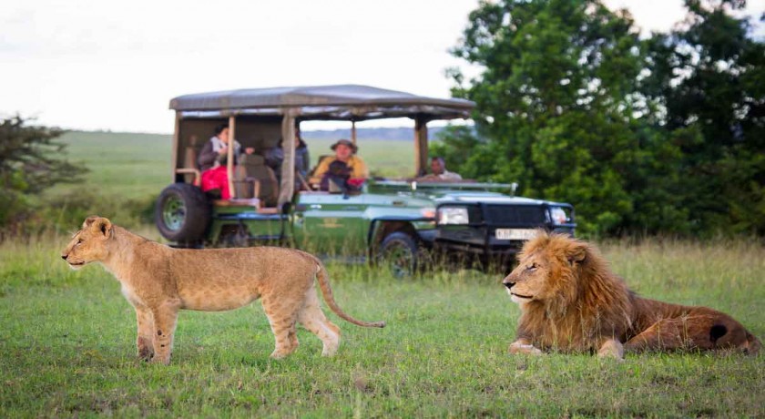 7 Days Safari Camping